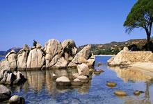 阿尔梅里亚主场取胜，升级形势一片大好