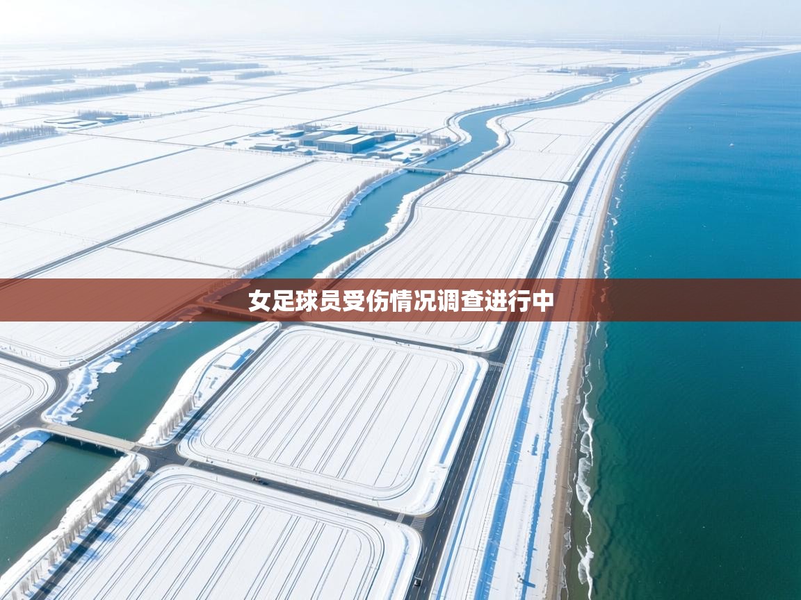 女足球员受伤情况调查进行中 第1张